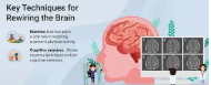 Rewiring-Brain-after-Stroke-May-2026